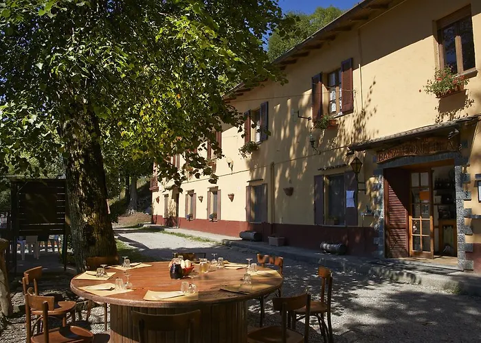 Bondella