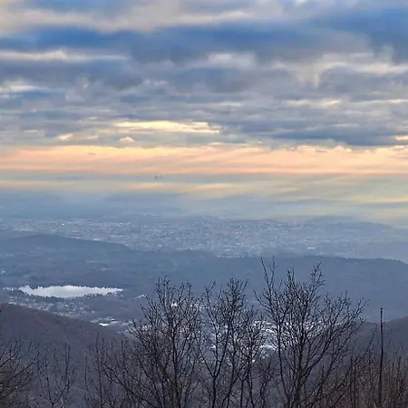 Bondella