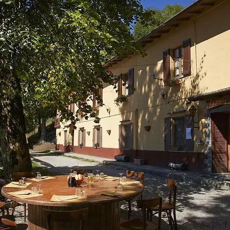 Bondella